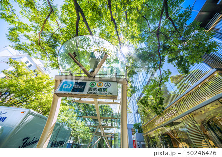 日本の東京都市景観 東京・表参道の緑溢れる並木などを望む 130246426