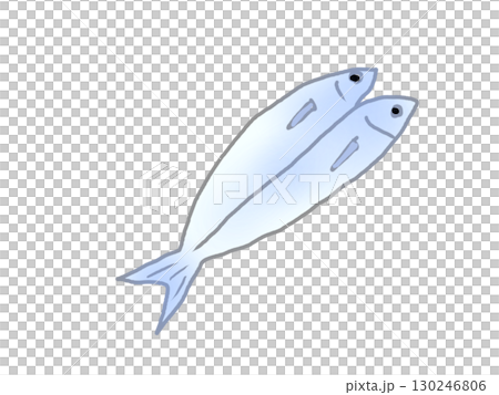 開きに干してある一匹の青魚のイラスト 130246806