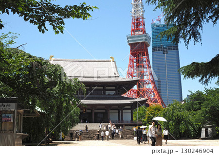 増上寺 本堂と東京タワー【東京都港区】 130246904
