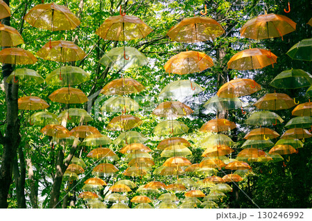 木漏れ日の中に並ぶ黄色い傘のインスタレーション 130246992