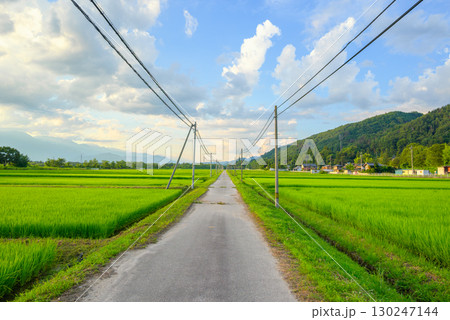 【夕景】農道と水田と夏空【大町市】 【夕景】農道と水田と夏空【大町市】 130247144