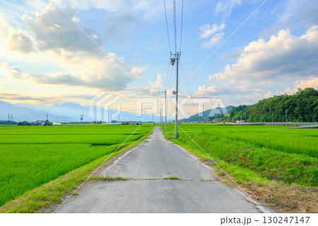 【夕景】農道と水田と夏空【大町市】 130247147