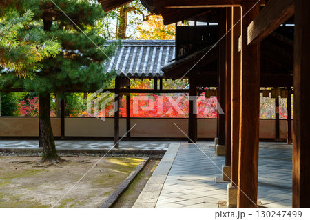萬福寺、回廊と紅葉 萬福寺、回廊と紅葉 130247499