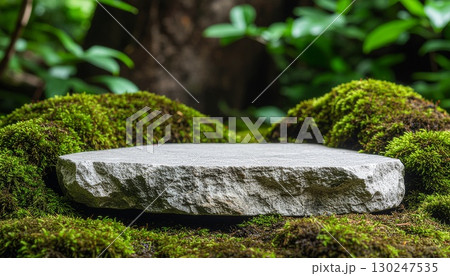 苔むした岩の台座：緑の森に溶け込む自然のディスプレイ 130247535