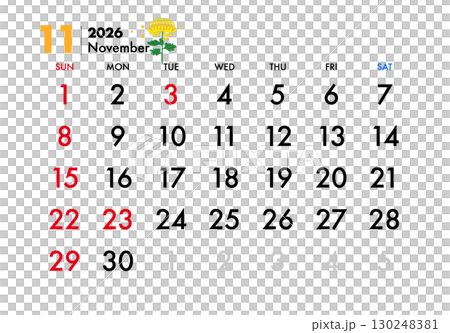 2026年, カレンダー,11月,菊 130248381