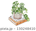 本の上の鉢植えの観葉植物 130248410