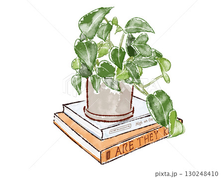本の上の鉢植えの観葉植物 本の上の鉢植えの観葉植物 130248410