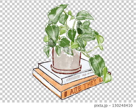 本の上の鉢植えの観葉植物 本の上の鉢植えの観葉植物 130248410