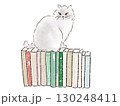 積み上げられた本と猫 130248411