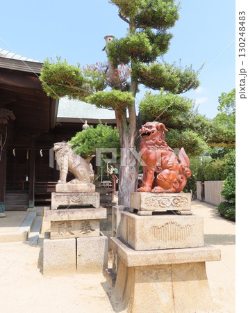 下津井祇園神社、倉敷市にある約250年も前から航海安全の神様として信仰を集めてきた神社、狛犬 下津井祇園神社、倉敷市にある約250年も前から航海安全の神様として信仰を集めてきた神社、狛犬 130248483