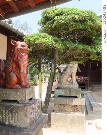 下津井祇園神社、倉敷市にある約250年も前から航海安全の神様として信仰を集めてきた神社、狛犬 下津井祇園神社、倉敷市にある約250年も前から航海安全の神様として信仰を集めてきた神社、狛犬 130248488