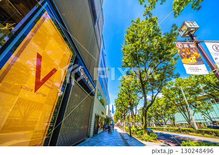 日本の東京都市景観 東京・表参道の緑溢れる並木などを望む 日本の東京都市景観 東京・表参道の緑溢れる並木などを望む 130248496