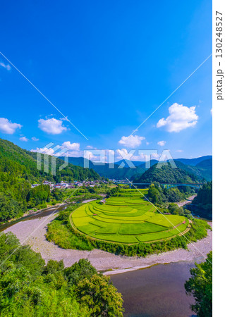 和歌山県 あらぎ島 晩夏の棚田 130248527
