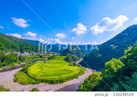 和歌山県 あらぎ島 晩夏の棚田 130248529