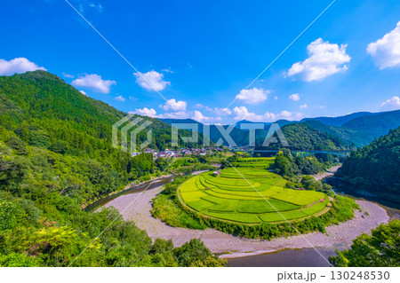 和歌山県 あらぎ島 晩夏の棚田 130248530
