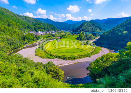 和歌山県 あらぎ島 晩夏の棚田 130248532