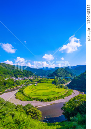 和歌山県 あらぎ島 晩夏の棚田 130248533