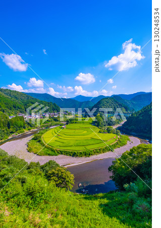 和歌山県 あらぎ島 晩夏の棚田 130248534