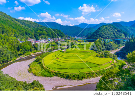 和歌山県 あらぎ島 晩夏の棚田 130248541