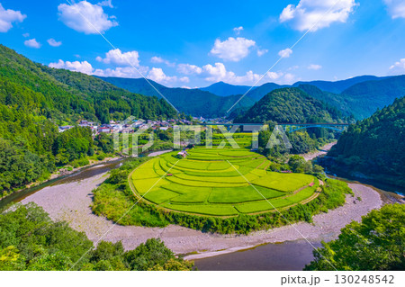 和歌山県 あらぎ島 晩夏の棚田 和歌山県 あらぎ島 晩夏の棚田 130248542