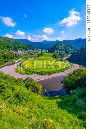 和歌山県 あらぎ島 晩夏の棚田 130248543