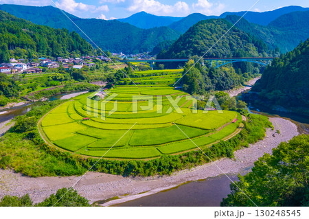 和歌山県 あらぎ島 晩夏の棚田 130248545