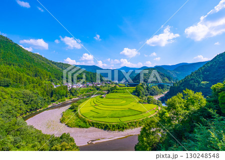 和歌山県 あらぎ島 晩夏の棚田 和歌山県 あらぎ島 晩夏の棚田 130248548