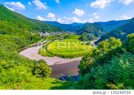 和歌山県 あらぎ島 晩夏の棚田 130248550