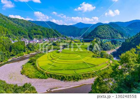 和歌山県 あらぎ島 晩夏の棚田 130248558
