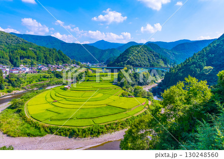 和歌山県 あらぎ島 晩夏の棚田 130248560