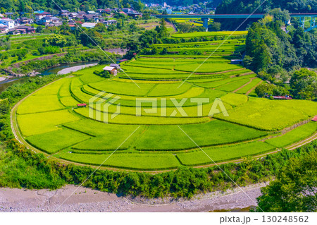 和歌山県 あらぎ島 晩夏の棚田 130248562