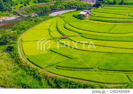 和歌山県 あらぎ島 晩夏の棚田 130248564