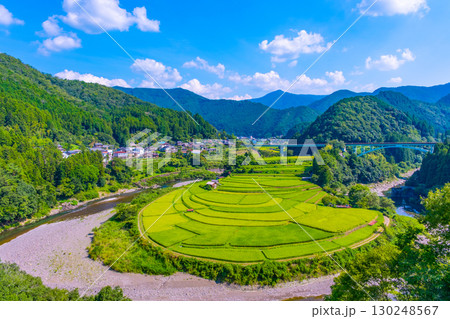和歌山県 あらぎ島 晩夏の棚田 130248567