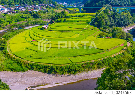 和歌山県 あらぎ島 晩夏の棚田 和歌山県 あらぎ島 晩夏の棚田 130248568
