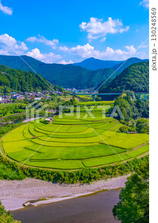 和歌山県 あらぎ島 晩夏の棚田 130248569