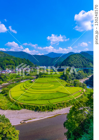 和歌山県 あらぎ島 晩夏の棚田 130248570