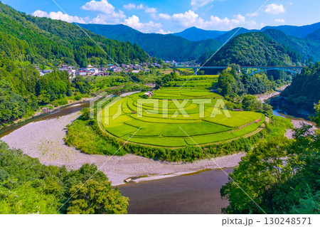 和歌山県 あらぎ島 晩夏の棚田 130248571