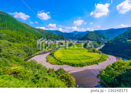 和歌山県 あらぎ島 晩夏の棚田 130248573