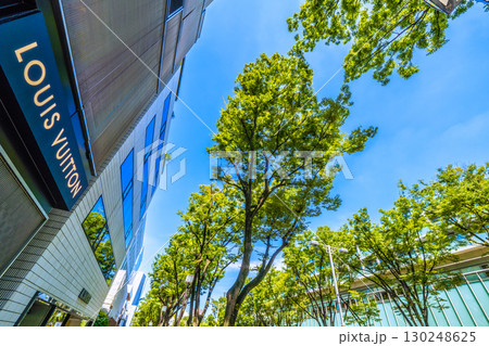 日本の東京都市景観 東京・表参道の緑溢れる並木などを望む 130248625
