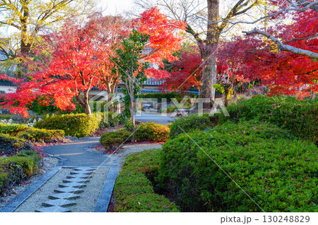 萬福寺の紅葉のある風景 130248829