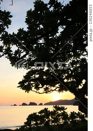 座間味島　阿真ビーチの夕景　沖縄の夕景 130248853