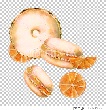 Citrus macarons with orange slices, cream filled sandwich whoopie pies in watercolor. Isolated hand drawn illustration. Summer pastry packaging, juice bar branding, fresh-themed seasonal product lines Citrus macarons with orange slices, cream filled sandwich whoopie pies in watercolor. Isolated hand drawn illustration. Summer pastry packaging, juice bar branding, fresh-themed seasonal product lines 130249366