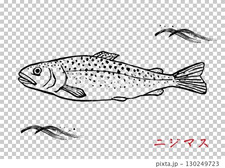 シンプルな手描きの虹鱒 線画 シンプルな手描きの虹鱒 線画 130249723