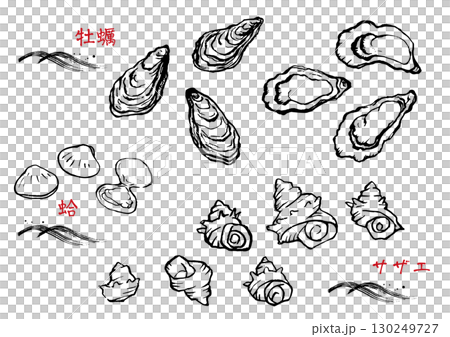 いろいろな貝殻のイラスト いろいろな貝殻のイラスト 130249727