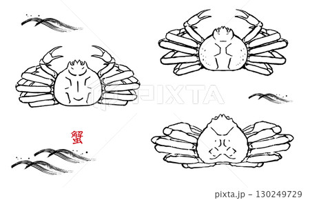 手描きの蟹のイラスト　線画 130249729