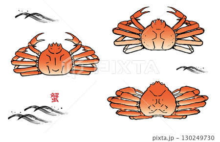 手描きの蟹のイラスト 130249730