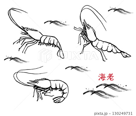 手描きの海老　線画 130249731