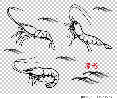 手描きの海老　線画 130249731
