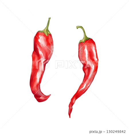 Hand-drawn illustration featuring two red chili peppers. Perfect for spicy food themes and vibrant culinary designs Hand-drawn illustration featuring two red chili peppers. Perfect for spicy food themes and vibrant culinary designs 130249842