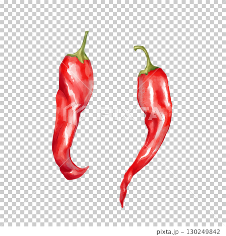 Hand-drawn illustration featuring two red chili peppers. Perfect for spicy food themes and vibrant culinary designs Hand-drawn illustration featuring two red chili peppers. Perfect for spicy food themes and vibrant culinary designs 130249842